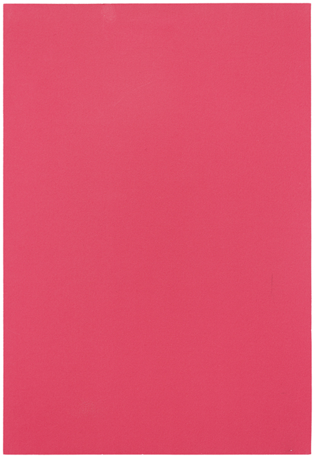 Felix Baudenbacher Found