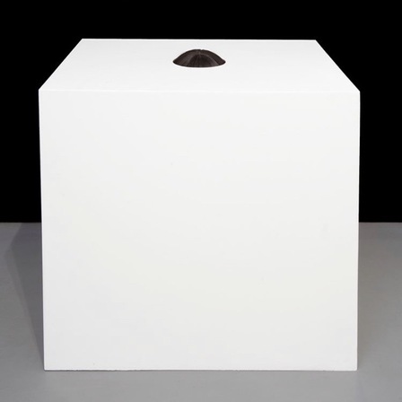 Via Lewandowsky Die Testperson verhielt sich ungewöhnlich ruhig