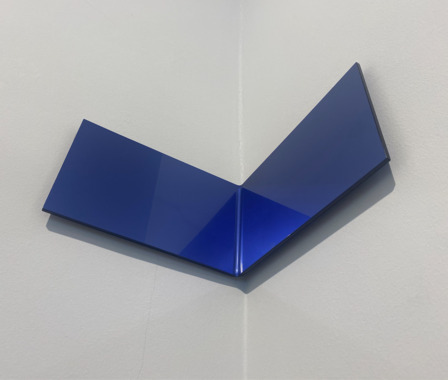 Nicolò Baraggioli The blue paradox