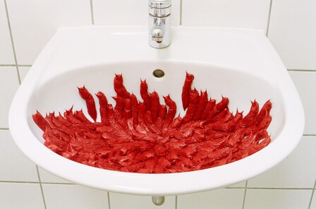 Susan Donath Arion Vulgaris