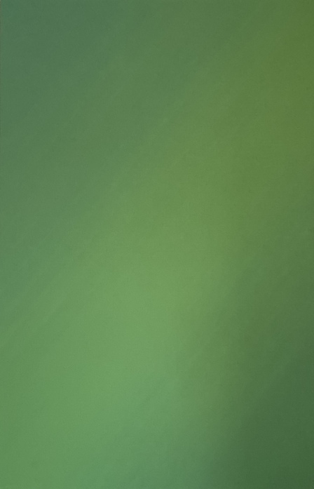 Lothar Quinte Die Farbe Grün, diagonal