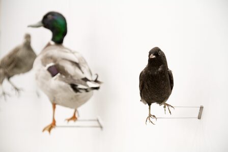 Jan Bernstein The Imponderable Weight of the Dead