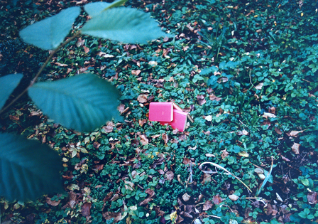 Peter Wüthrich Imago (2)