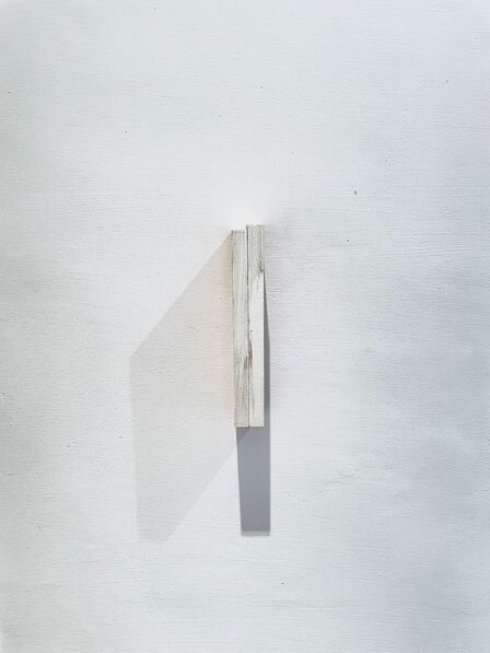 Nicolò Baraggioli Fracture V