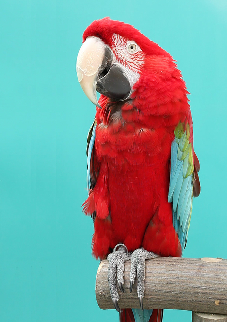 Julius Brauckmann Namedropping