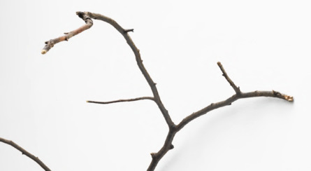 NATURE, Marc Angeli, Nicolò Baraggioli, Robert Barta, Jan Bernstein, Bertrand Fournier, Alfonso Fratteggiani Bianchi, Barbara Hindahl, Nan Hoover, Lev Khesin, Alicja Kwade, Tony Matelli, Dirk Rathke, Peter Rösel, Ken'ichiro Taniguchi, Peter Tollens, Jens Trimpin, Jan Maarten Voskuil