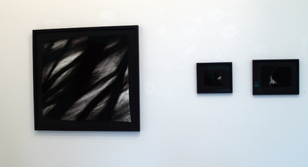 Nan Hoover, Nan Hoover