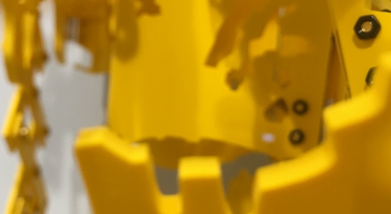 KEN'ICHIRO TANIGUCHI, Ken'ichiro Taniguchi