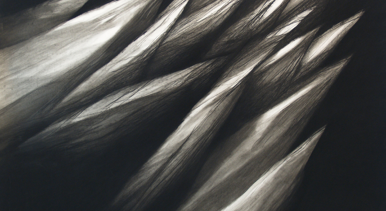 NAN HOOVER, Nan Hoover