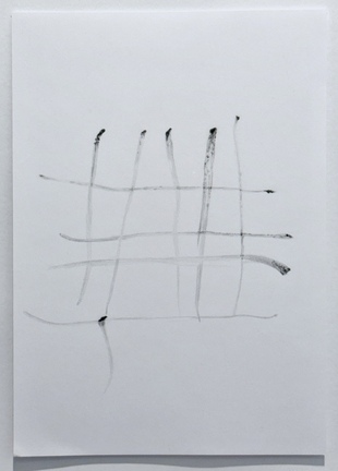 FOLLOW THE LINE, 