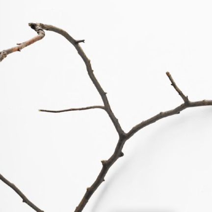 NATURE, Marc Angeli, Nicolò Baraggioli, Robert Barta, Jan Bernstein, Bertrand Fournier, Alfonso Fratteggiani Bianchi, Barbara Hindahl, Nan Hoover, Lev Khesin, Alicja Kwade, Tony Matelli, Dirk Rathke, Peter Rösel, Ken'ichiro Taniguchi, Peter Tollens, Jens Trimpin, Jan Maarten Voskuil