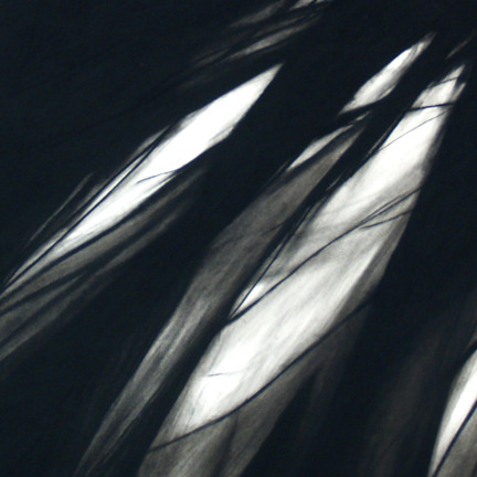 NAN HOOVER, Nan Hoover