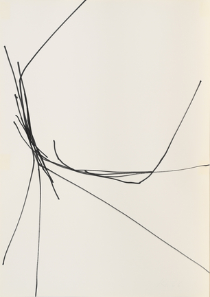 FOLLOW THE LINE, 