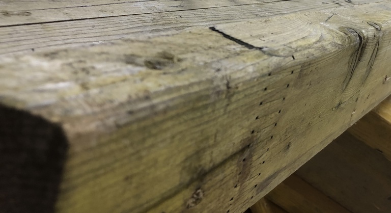 KAI RICHTER, Kai Richter