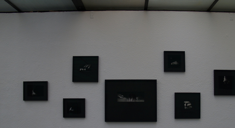 XV. Galerientage im Mannheimer Kunstverein , Andreas Kocks, Nan Hoover