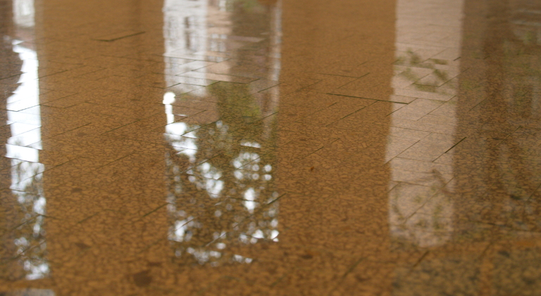 Jan Schmidt, Jan Schmidt