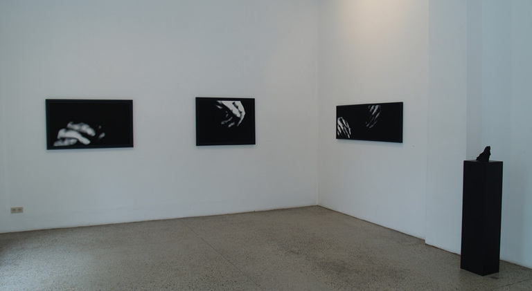 Nan Hoover, Nan Hoover