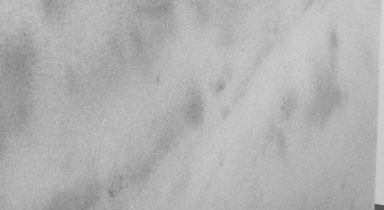 Jens Trimpin, Jens Trimpin