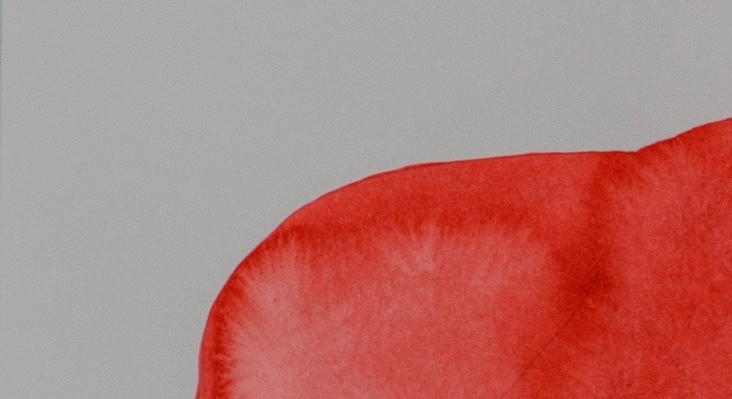 Bertrand Fournier & Tobias Wenzel, Bertrand Fournier, Tobias Wenzel