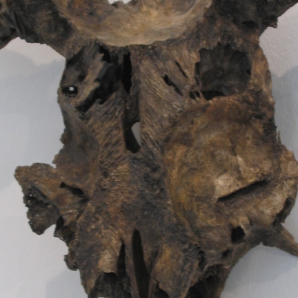 Ein Tag, ein Raum, ein Bild., Rainer Splitt, Rolf Rose, Wulf Kirschner, Sebastian Zarius, Sebastian Zarius, Nan Hoover, Nir Alon, Ken'ichiro Taniguchi, Martin Noël, Susanna Niederer, Markus Paetz